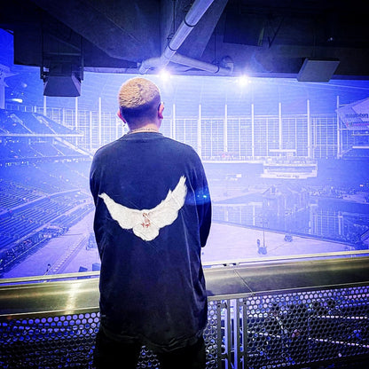 Hardfell | Luka's Frösche Treibgut streetwear vintage T-shirt with loose cut and pigeon print