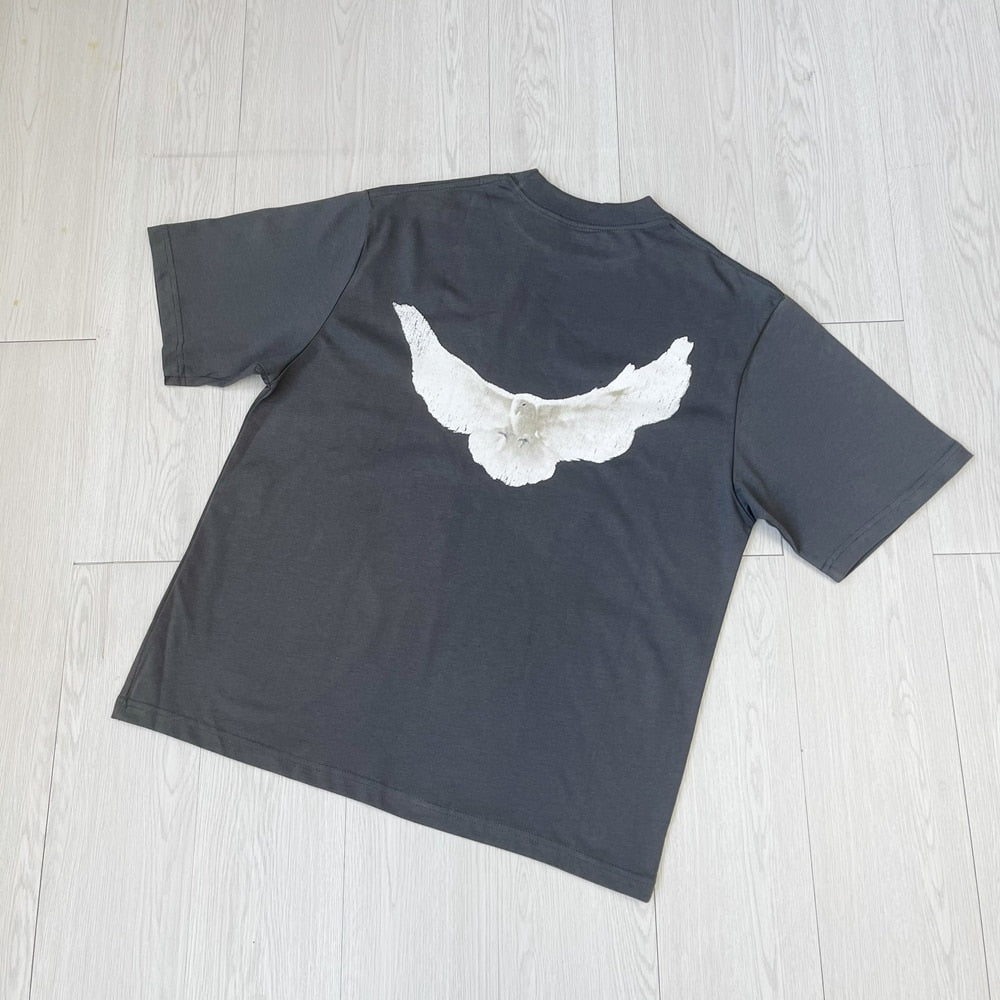Hardfell | Luka's Frösche Treibgut streetwear vintage T-shirt with loose cut and pigeon print