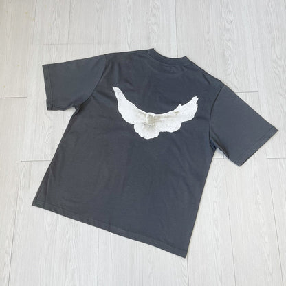 Hardfell | Luka's Frösche Treibgut streetwear vintage T-shirt with loose cut and pigeon print