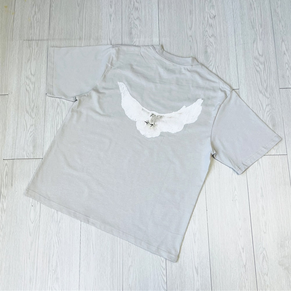 Hardfell | Luka's Frösche Treibgut streetwear vintage T-shirt with loose cut and pigeon print